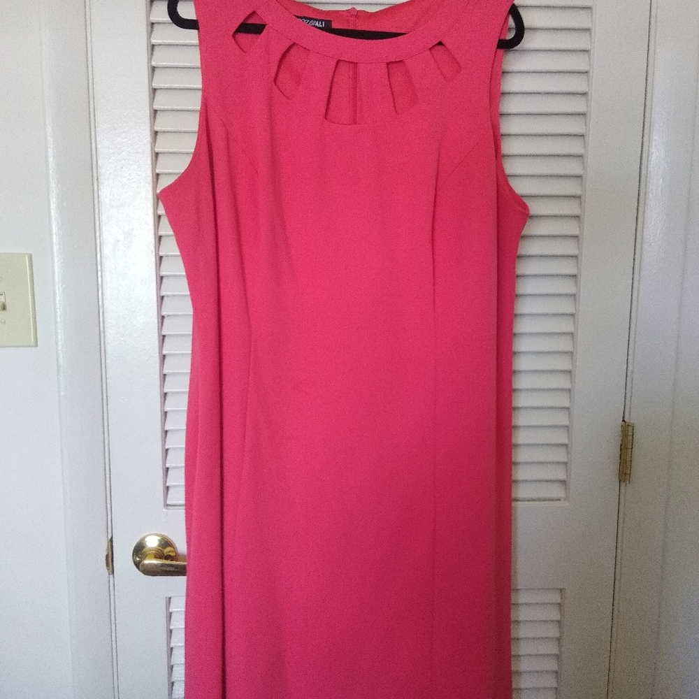 Guava Colored Cut Out Dress